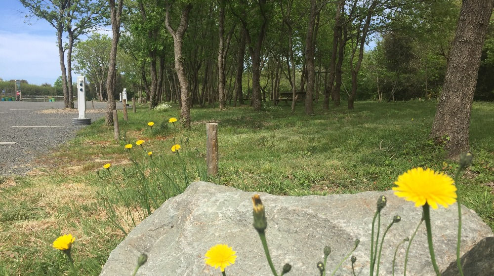 Nature et forêt